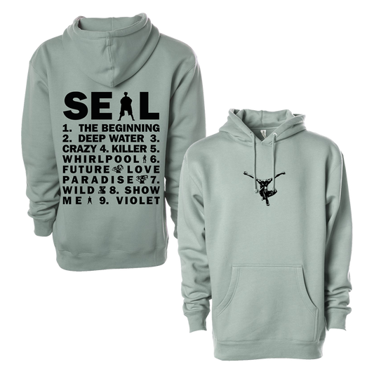 Dusty Sage Pull Over Hoodie